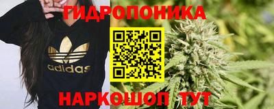 дмт Бузулук