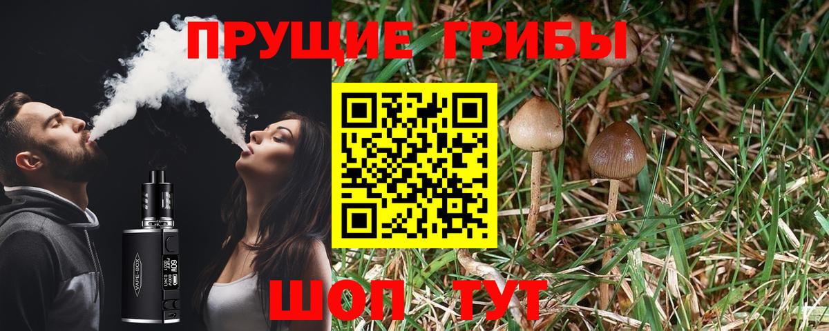 Галлюциногенные грибы MAGIC MUSHROOMS Советский
