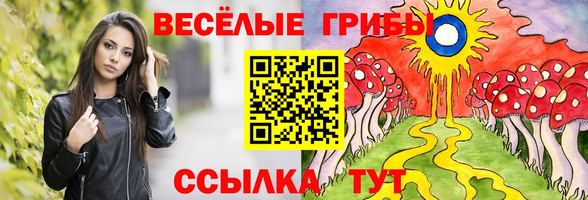Псилоцибиновые грибы MAGIC MUSHROOMS  Вход с VPN  Псилоцибиновые грибы GOLDEN TEACHER  Советский 