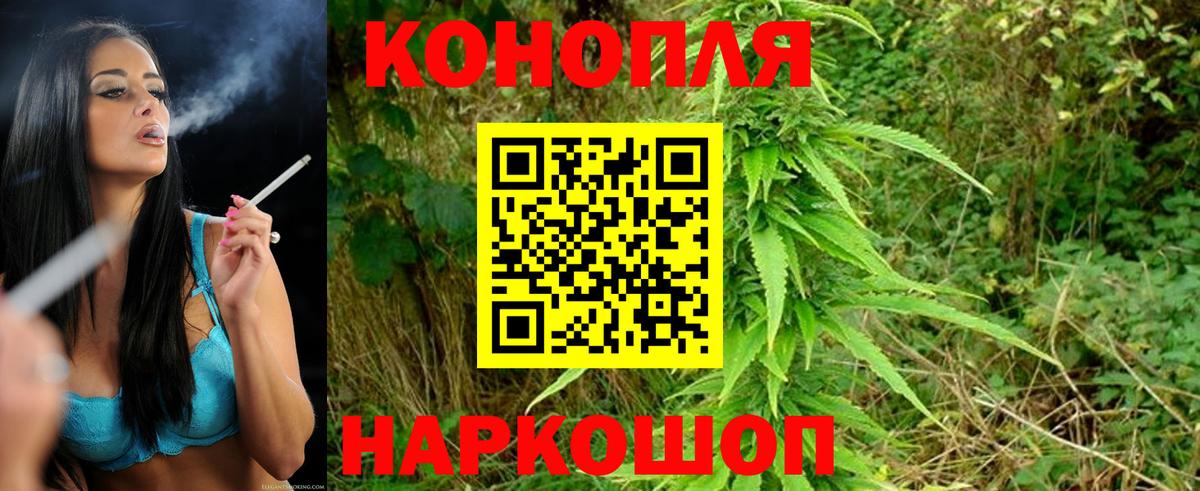 Каннабис MAZAR Советский
